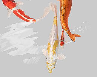 《耻辱2》发售五周年 你印象最深的是哪一段